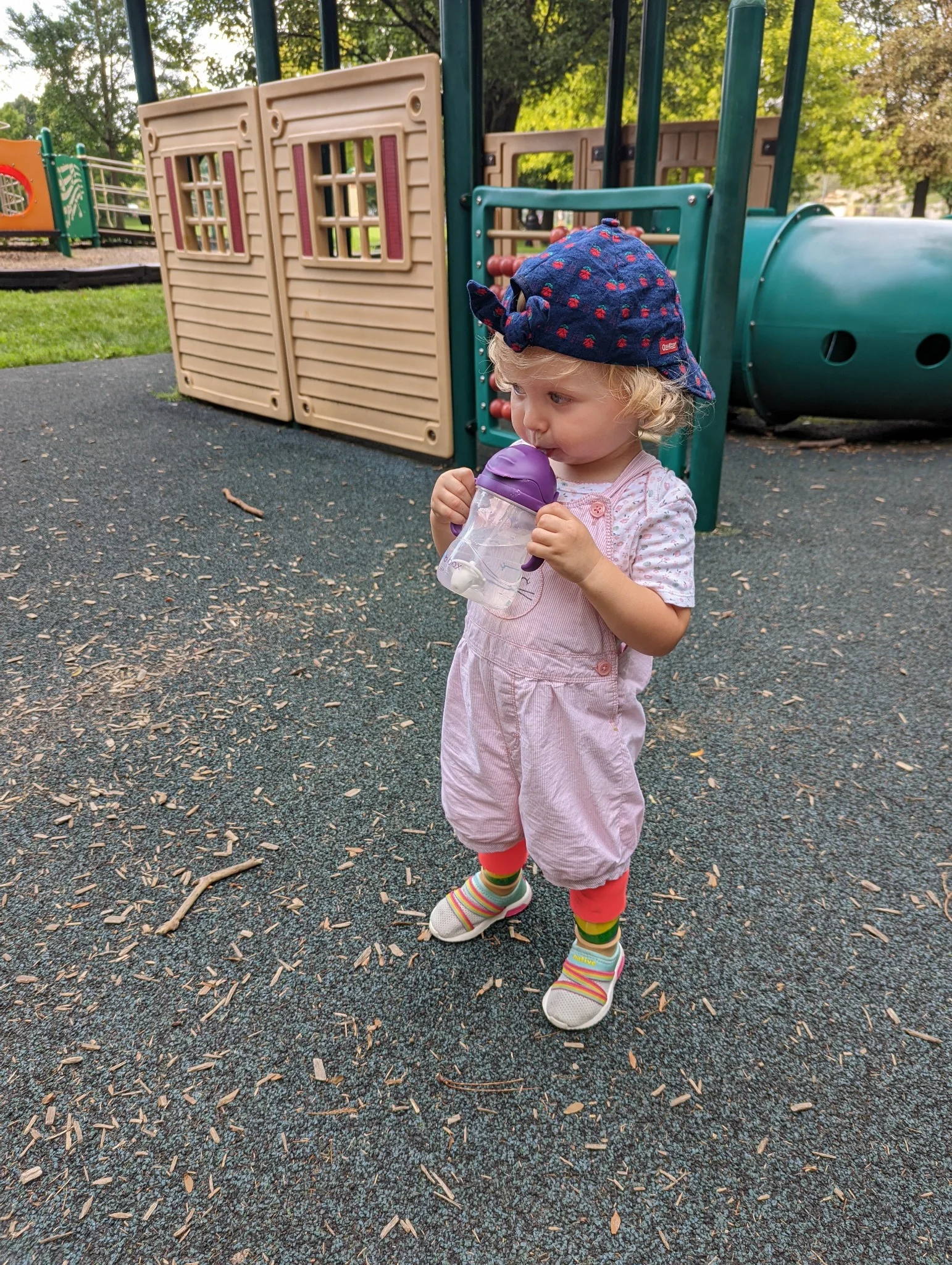 A large inclusive playground at Fancyburg Park with accessible ramps and slides, surrounded by families and tall trees.